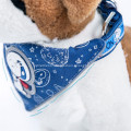 Custom logo collar with dog leash and bibs